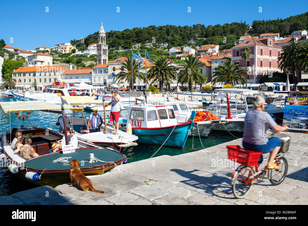 Il pittoresco porto, Stari Grad (Città Vecchia), Hvar, Dalmazia, Croazia Foto Stock