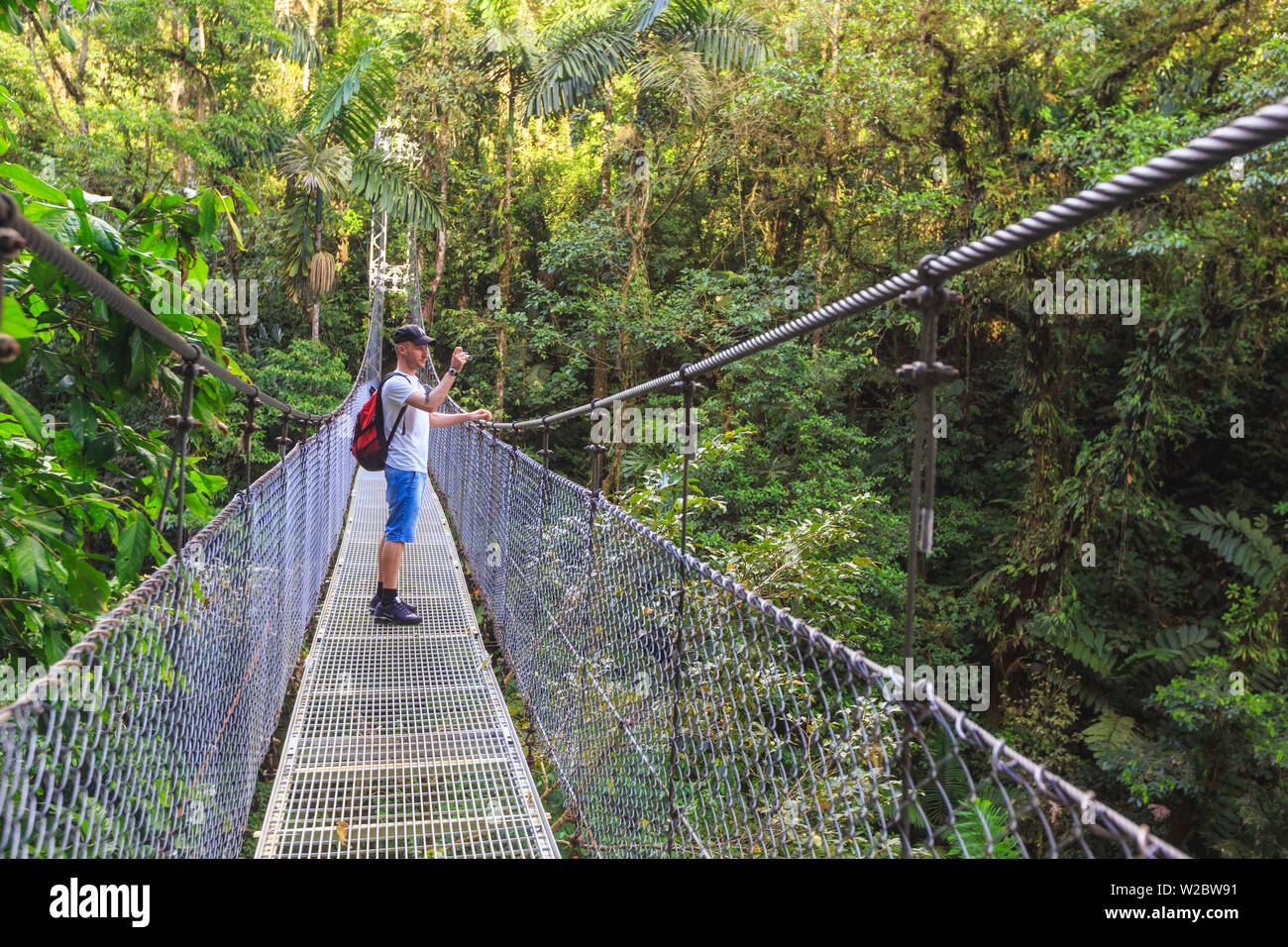 Costa Rica, Highlands Centrali, Parco Nazionale Arenal, ponti sospesi all'interno della foresta pluviale (MR) Foto Stock