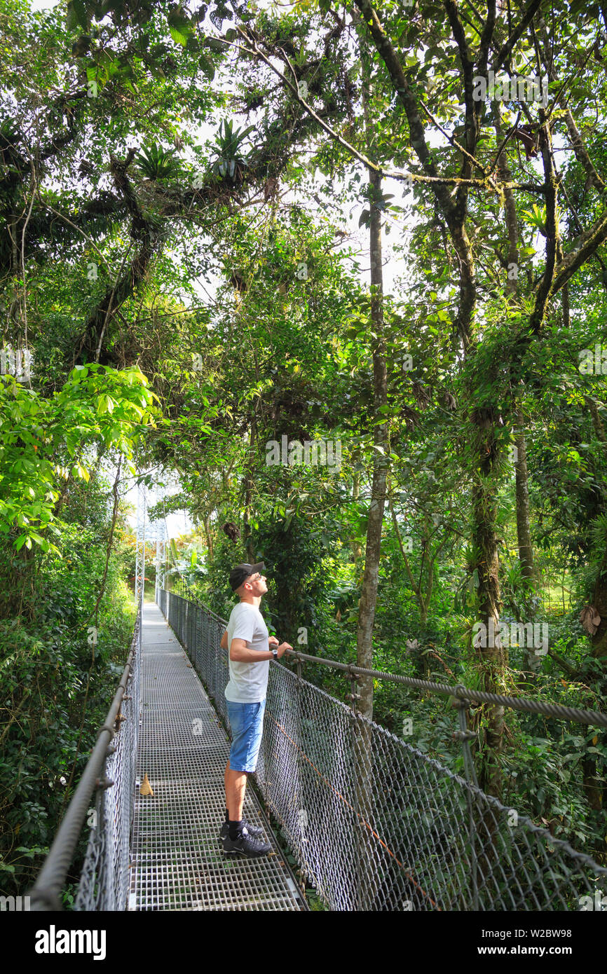 Costa Rica, Highlands Centrali, Parco Nazionale Arenal, ponti sospesi all'interno della foresta pluviale (MR) Foto Stock