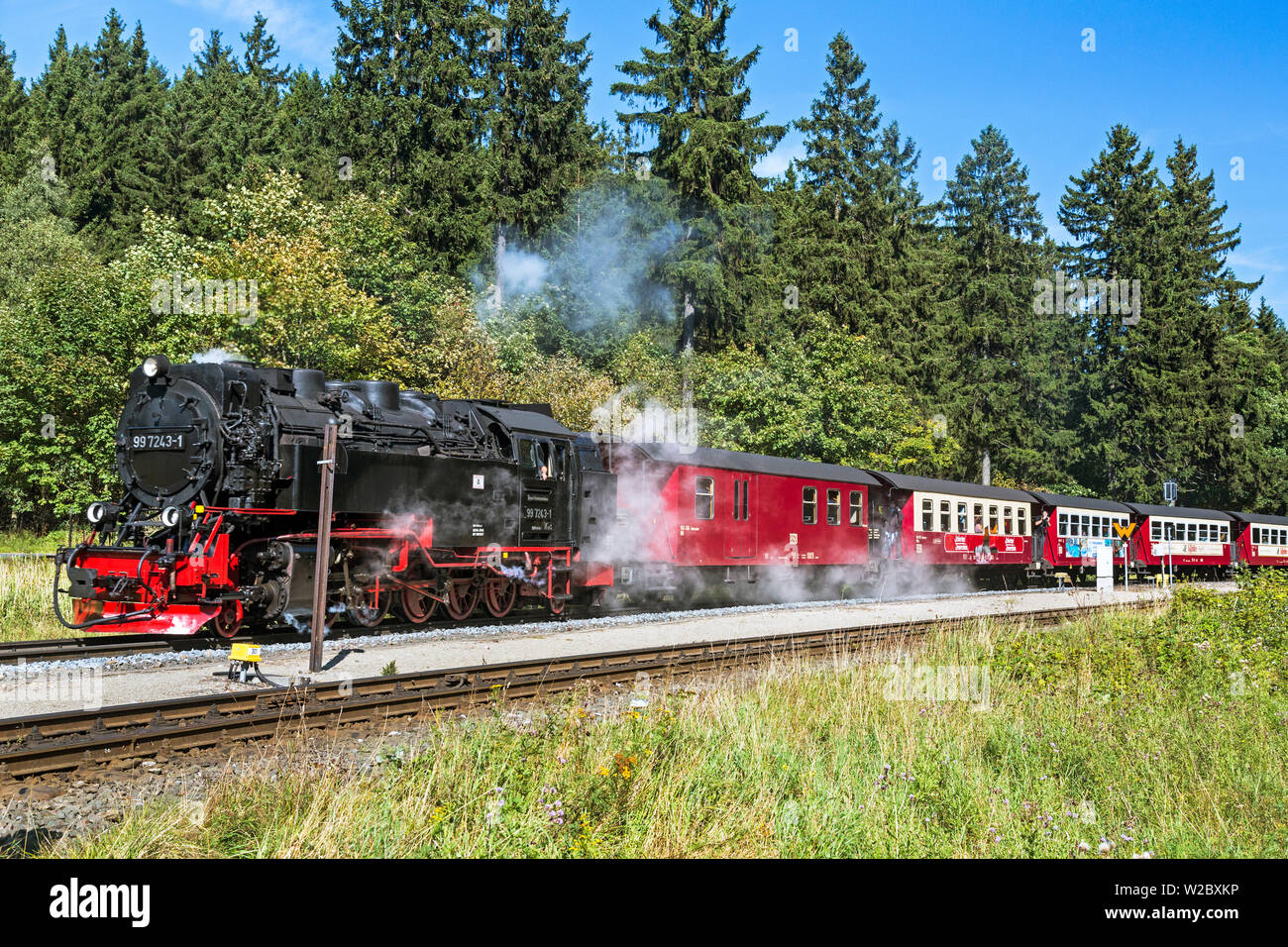 Treno a vapore che viaggia da Wernigerode al picco del Brocken Mountain, Montagne Harz, Sassonia-Anhalt, Germania Foto Stock