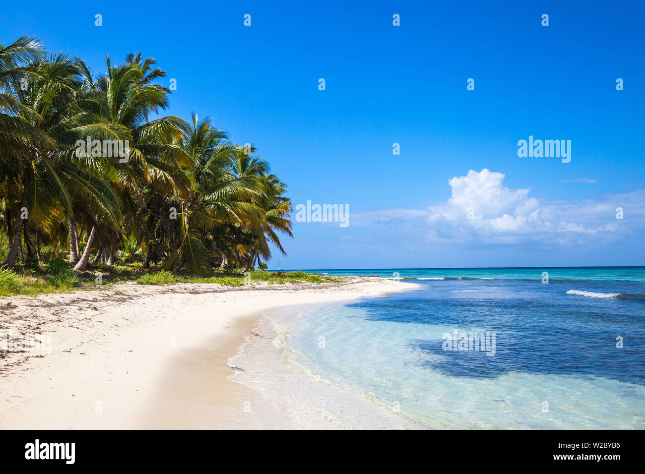 Repubblica Dominicana, Punta Cana, Parque Nacional del Este, l'isola di Saona, Catuano Beach Foto Stock