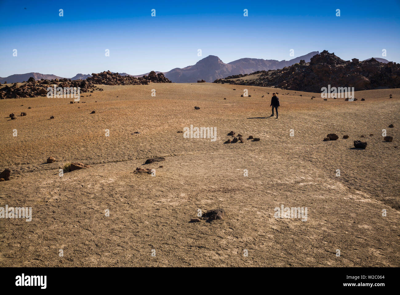 Spagna Isole Canarie, Tenerife, Parque Nacional del Teide, montagna il paesaggio del deserto Foto Stock