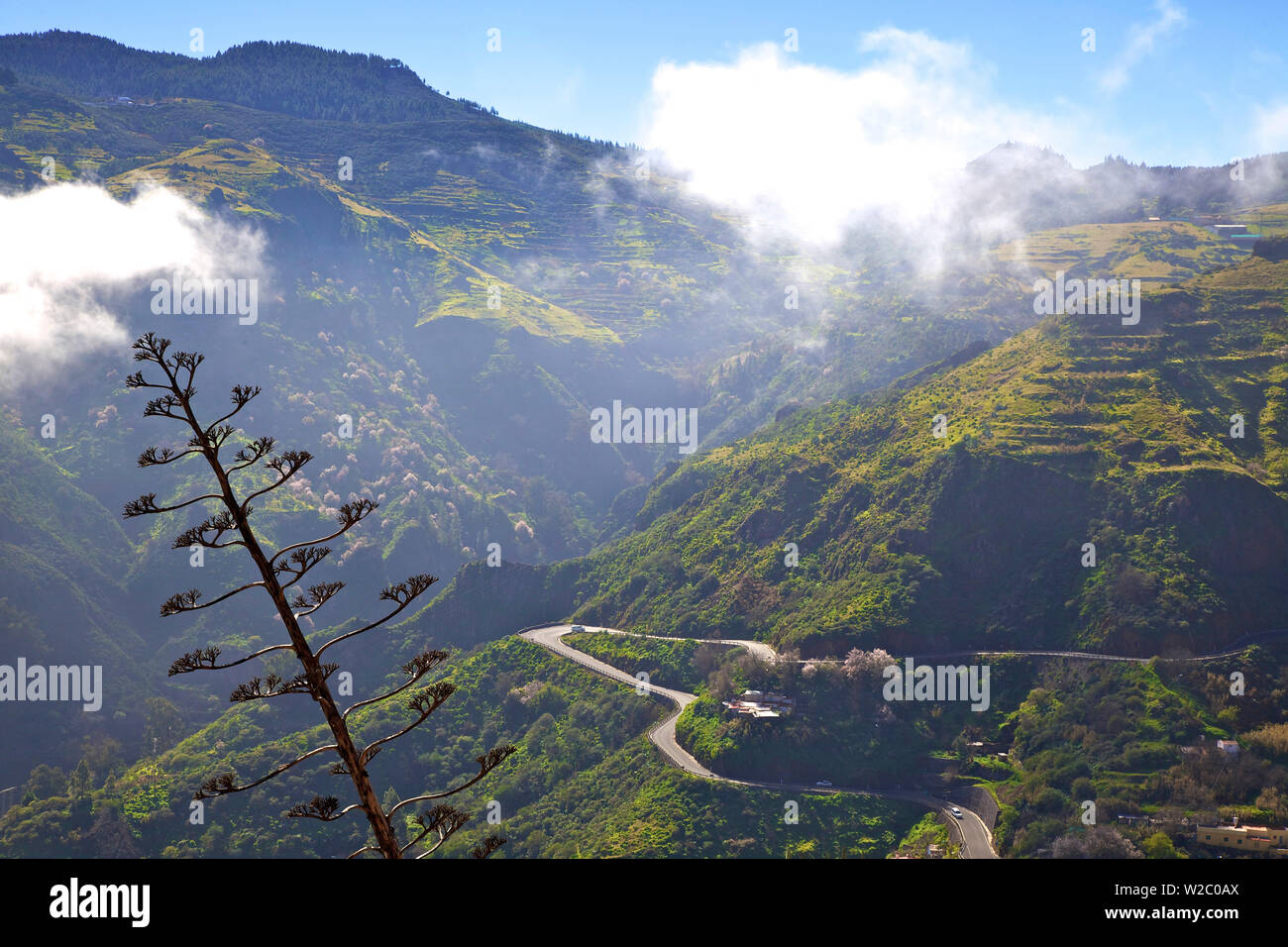 Regione di montagna, Gran Canaria Isole Canarie Spagna, Oceano Atlantico, Europa Foto Stock