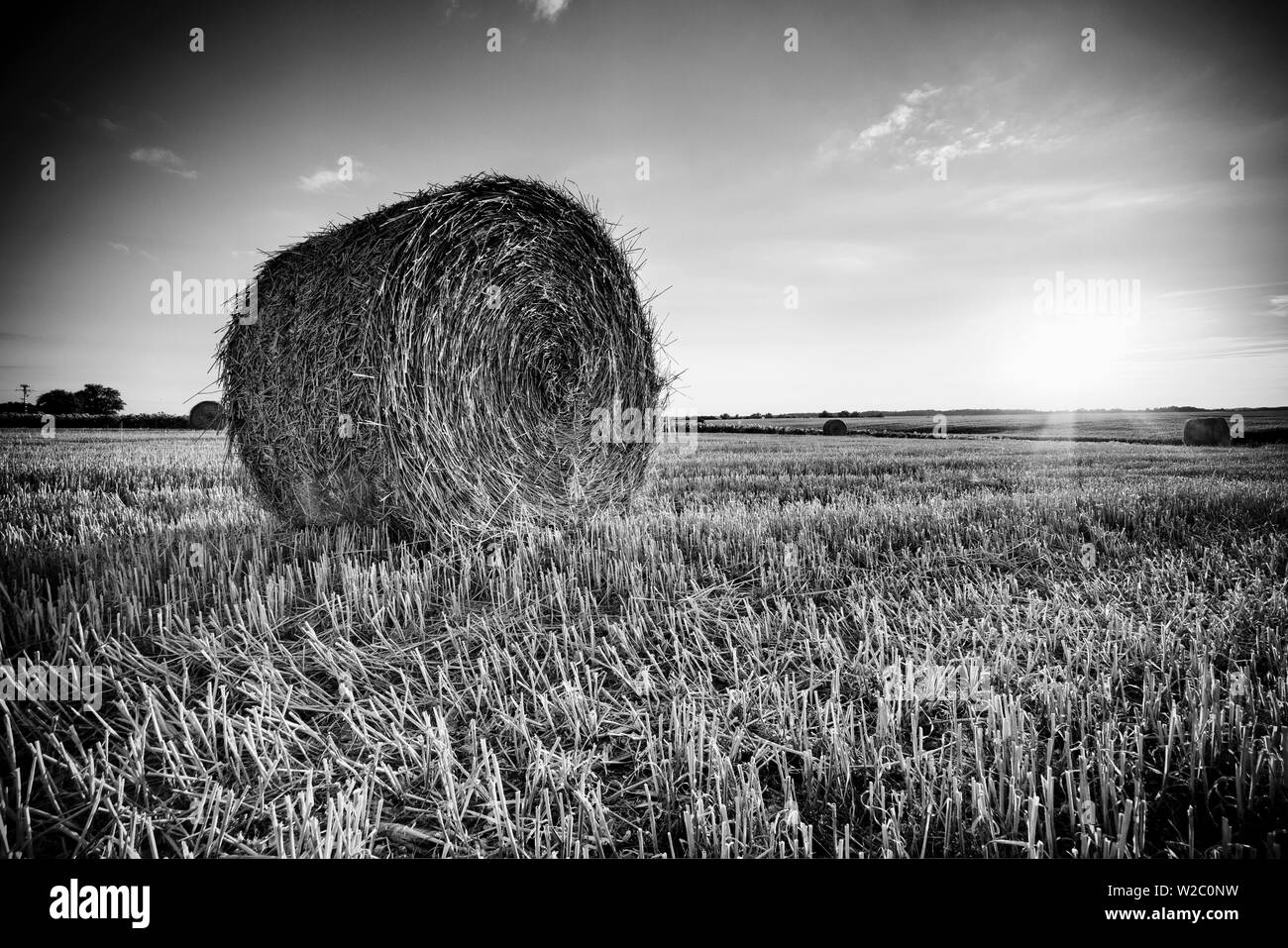 Francia, regione centrale, Indre-et-Loire, Sainte Le Maure de Touraine, balle di paglia nel campo Foto Stock