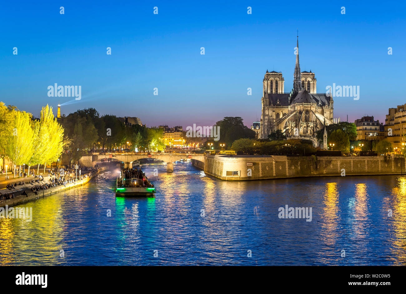 La cattedrale di Notre Dame e il Fiume Senna, Parigi, Francia, Europa Foto Stock