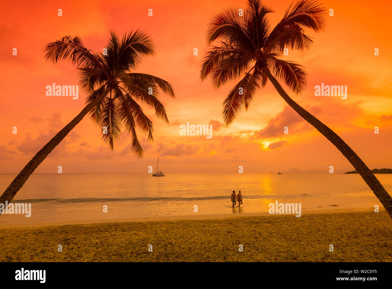 Caraibi, Martinica, Sainte Anne, Grande Anse des Salines Foto Stock