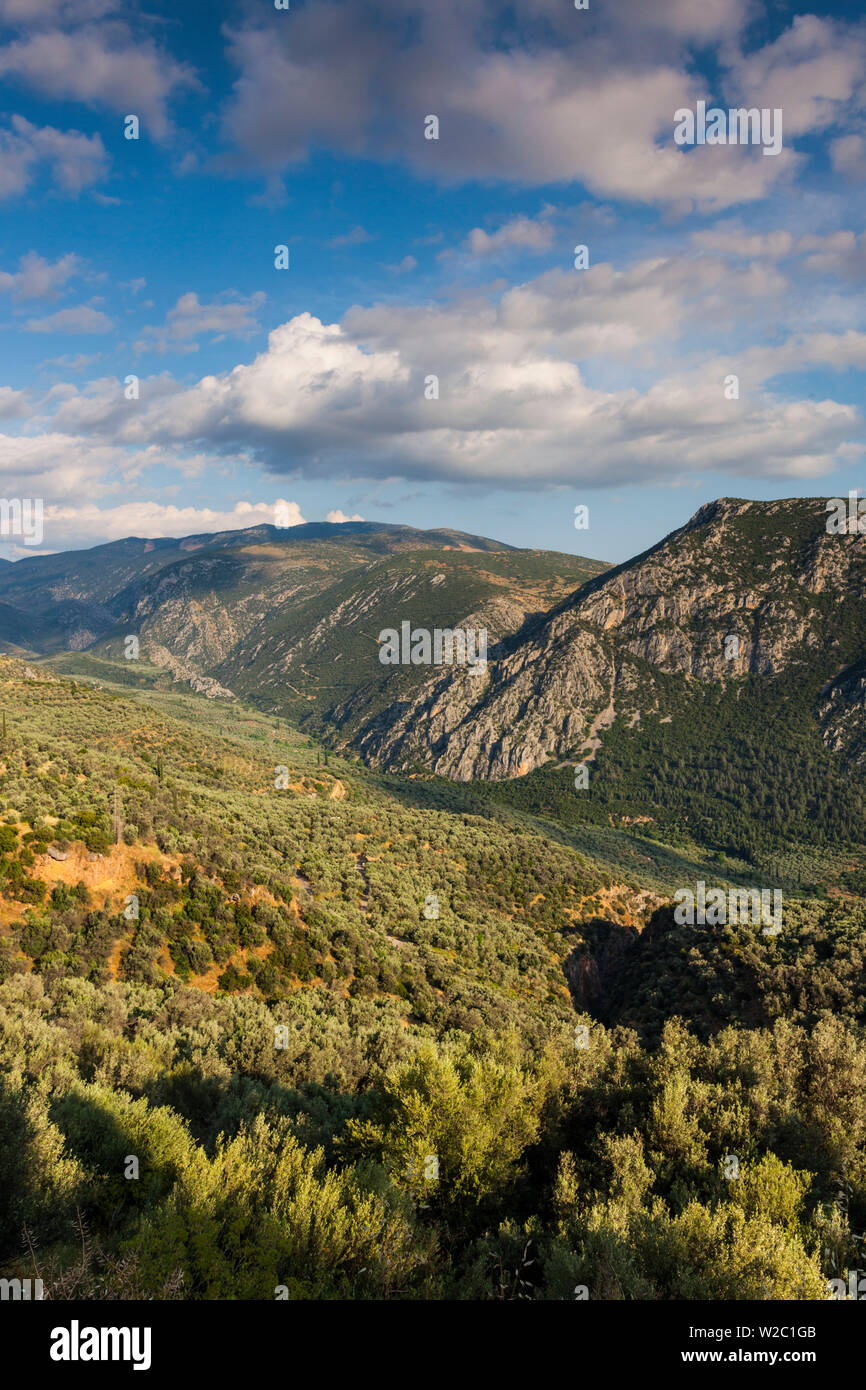 Grecia Grecia Centrale Regione, Delphi, paesaggio sopra la valle di Delphi Foto Stock