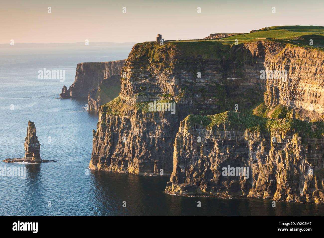 Irlanda, County Clare, scogliere di Moher, 200 metri di alte scogliere, crepuscolo Foto Stock