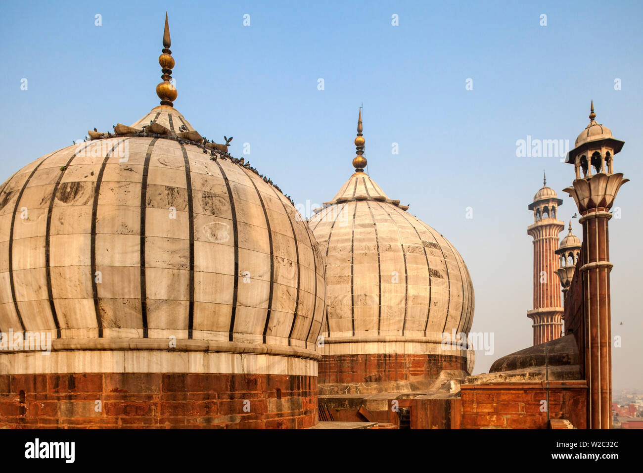India, Delhi, Vecchia Delhi , Jama Masjid - moschea Jama costruito da Shah Jahan Foto Stock