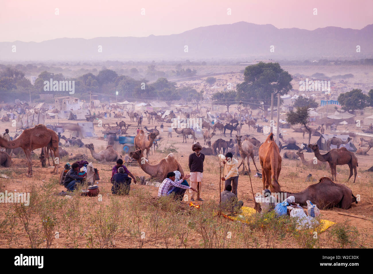 India Rajasthan, Pushkar, scena a Pushkar Fiera Del Cammello all'alba Foto Stock