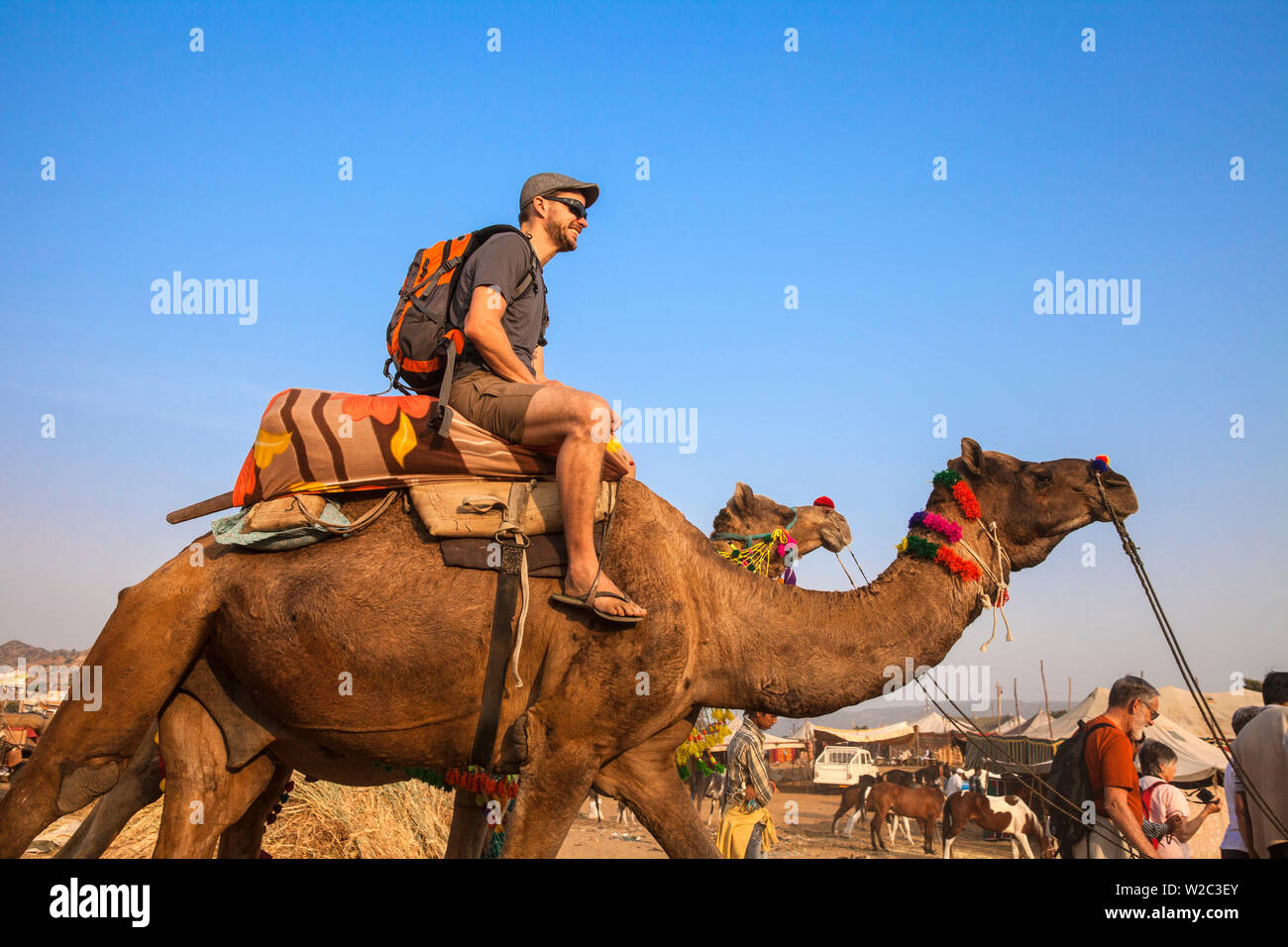 India Rajasthan, Pushkar, turisti in giro in cammello a Pushkar Camel Fair Foto Stock