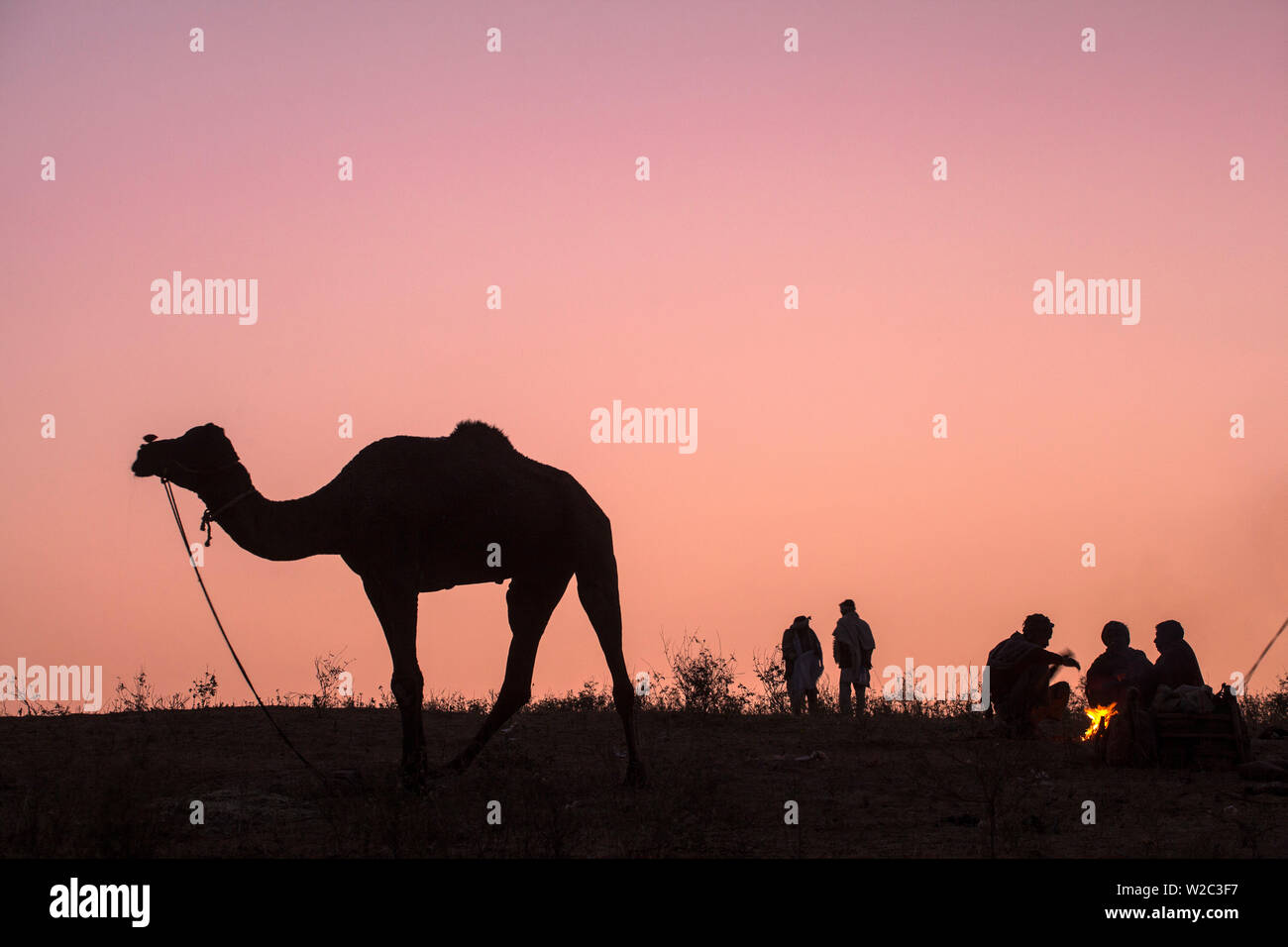 India Rajasthan, Pushkar, i commercianti del cammello rannicchiato round camp fire a Pushkar Camel Fair Foto Stock