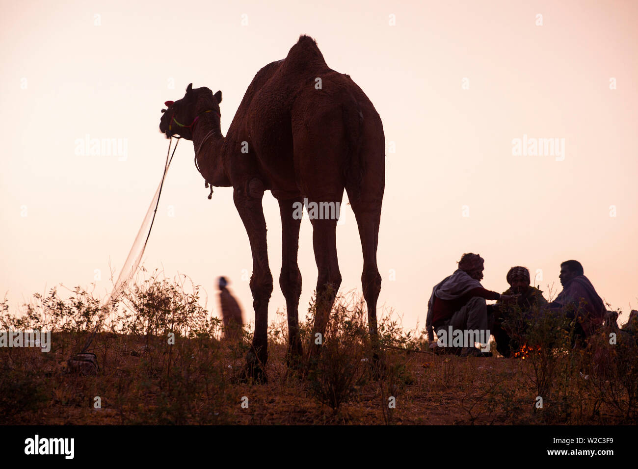 India Rajasthan, Pushkar, i commercianti del cammello rannicchiato round camp fire a Pushkar Camel Fair Foto Stock