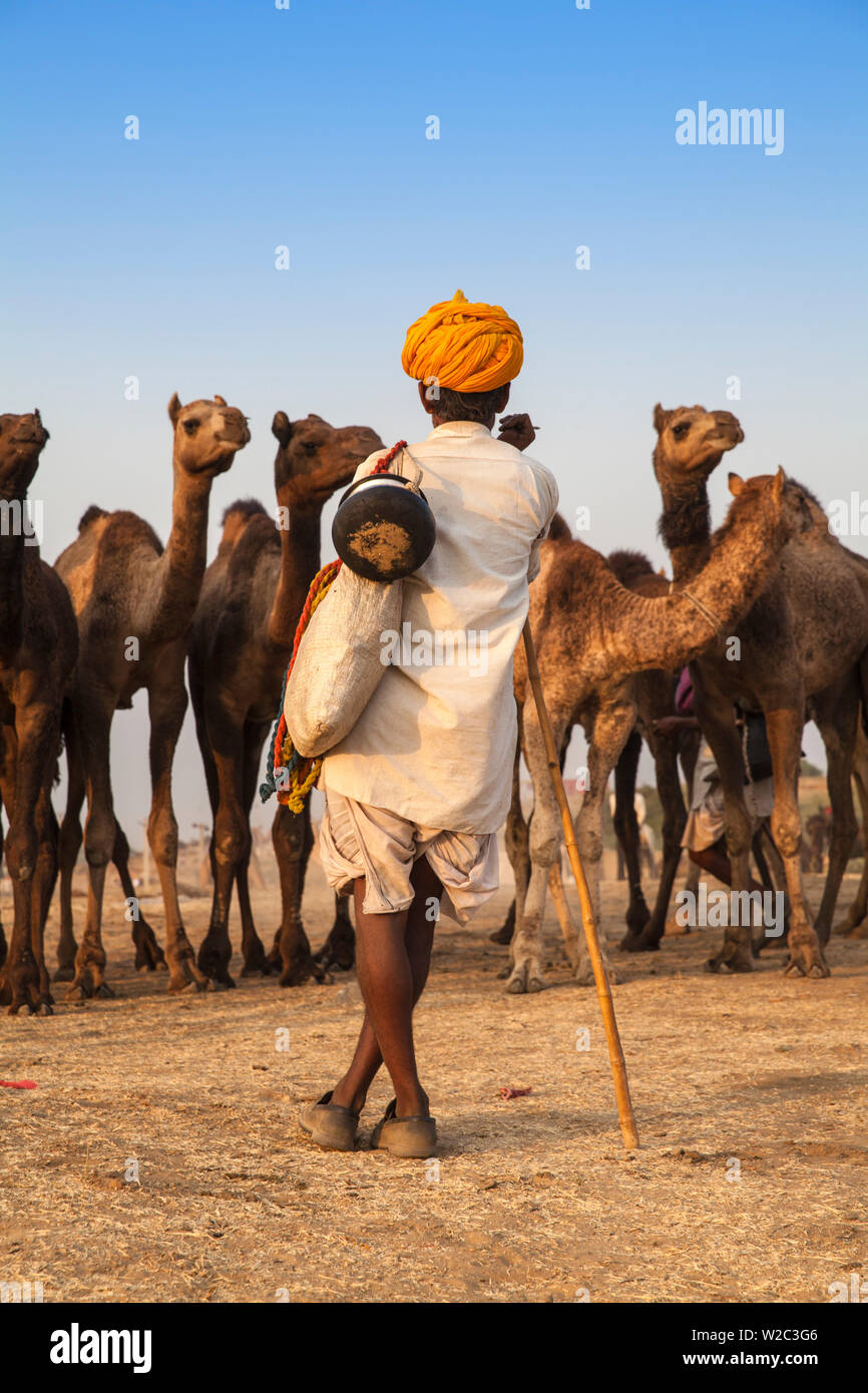 India Rajasthan, Pushkar, Camel trader con i suoi cammelli a Pushkar Camel Fair Foto Stock
