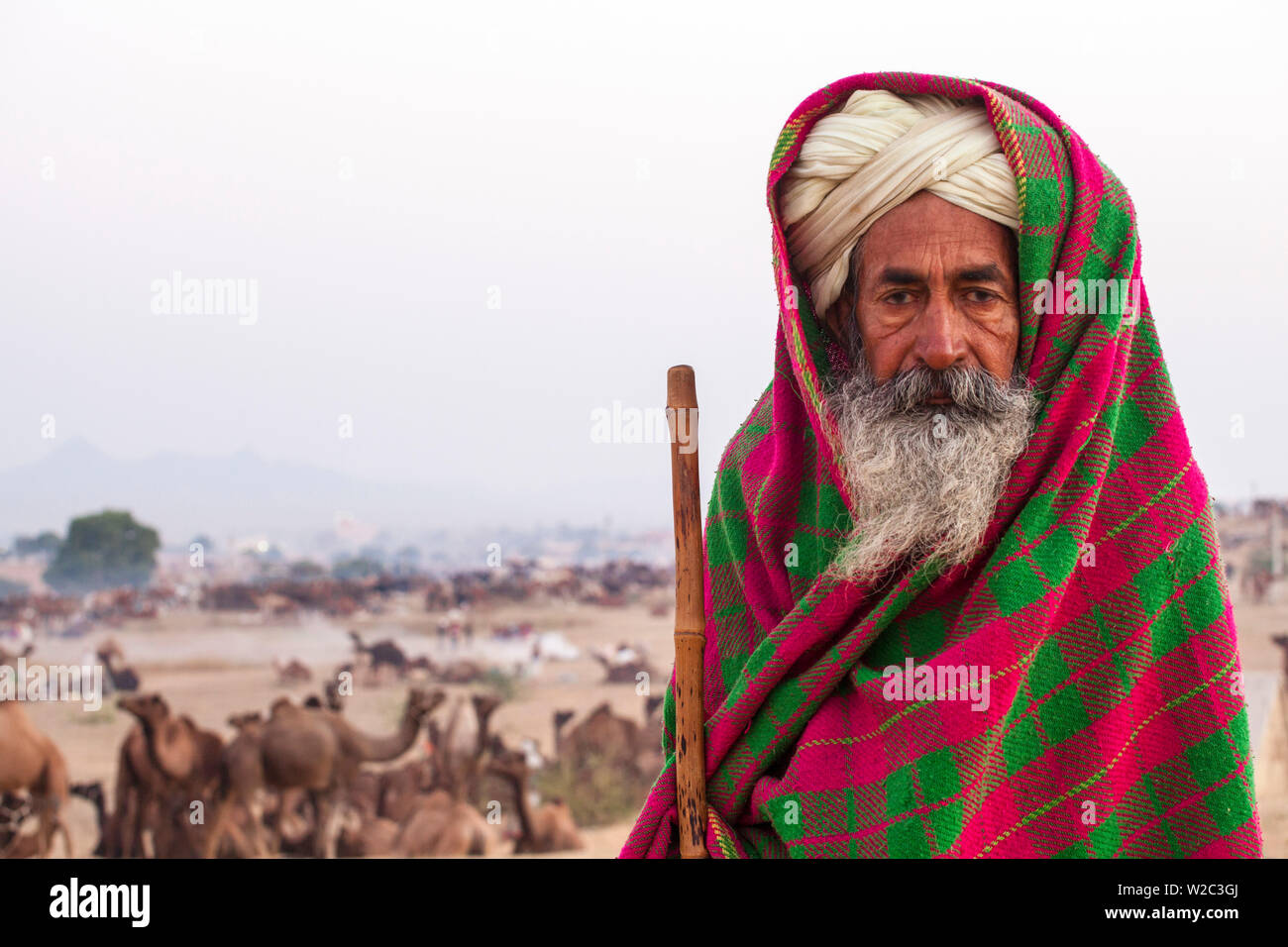 India Rajasthan, Pushkar, Camel commerciante a Pushkar Camel Fair Foto Stock