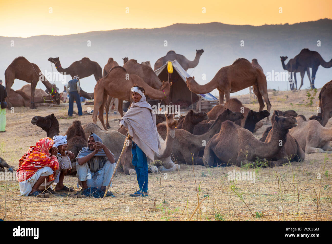 India Rajasthan, Pushkar, Camel trading a Pushkar Camel Fair Foto Stock