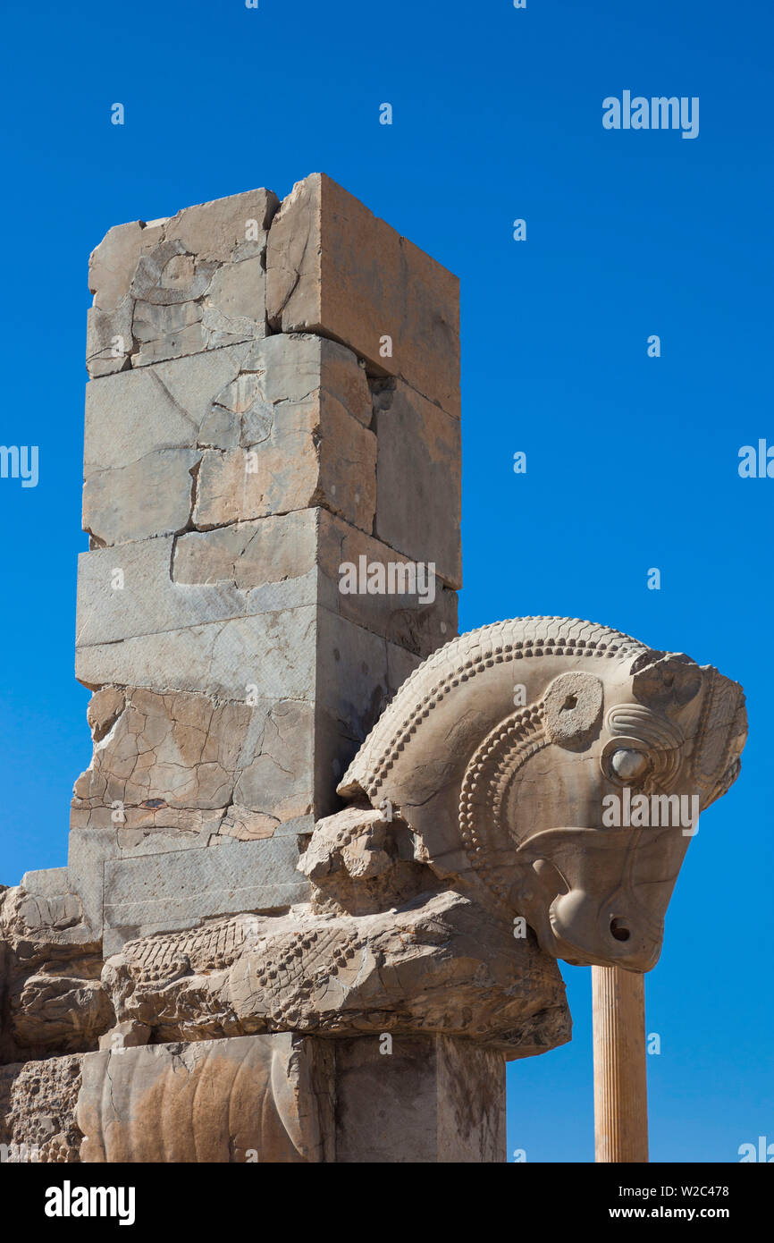 Iran, Central Iran, Persepolis, VI secolo a.c. la città antica, il monumento a Cavallo Foto Stock