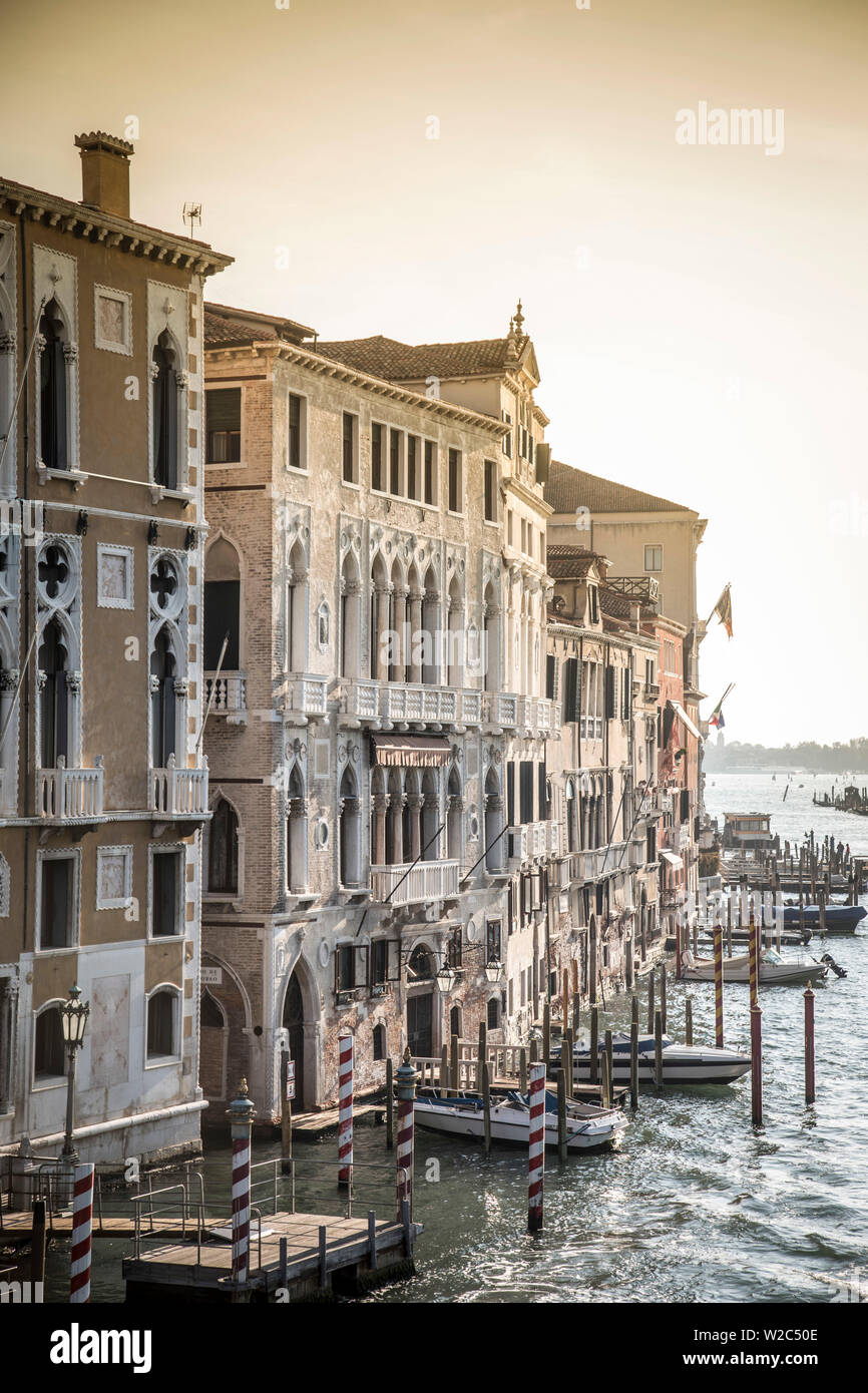 I palazzi lungo il Canal Grande di Venezia, Italia Foto Stock