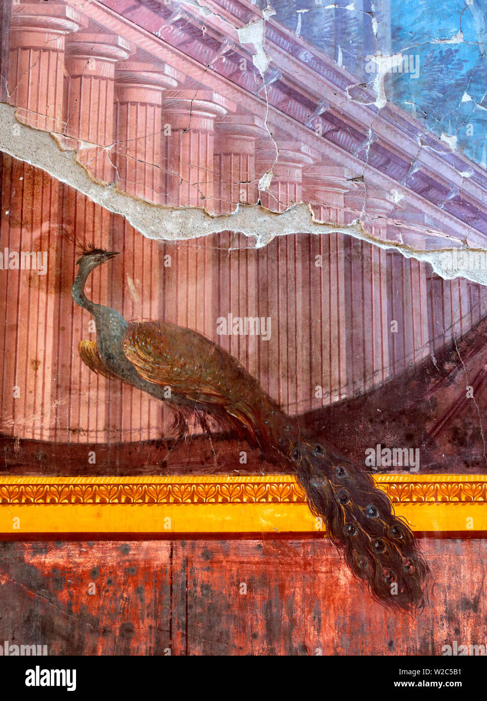 Peacock, pittura murale, Villa Oplontis, Torre Annunziata, Campania, Italia Foto Stock