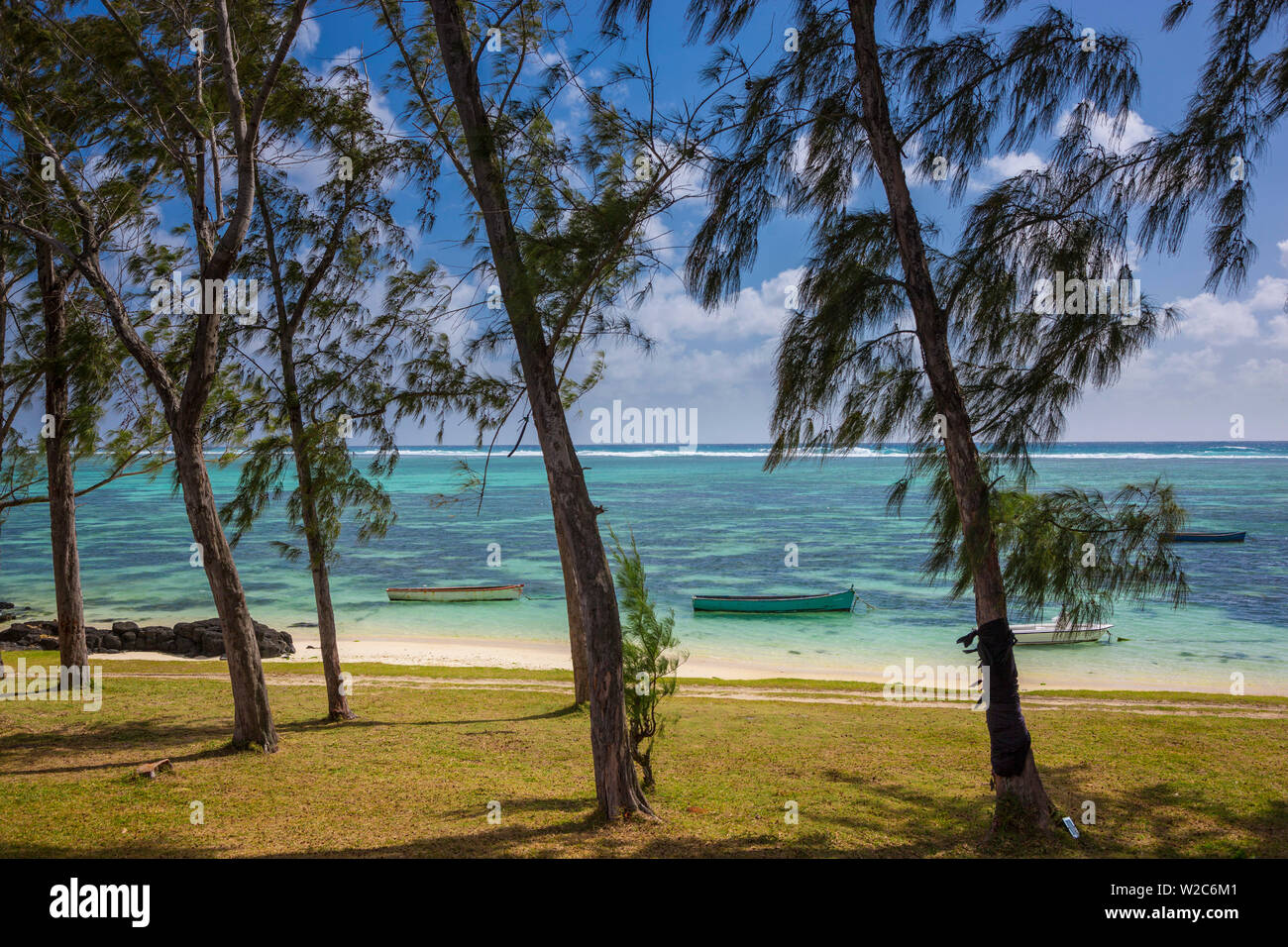 Palmar beach e alberi di casuarina, Flacq, East Coast, Mauritius Foto Stock