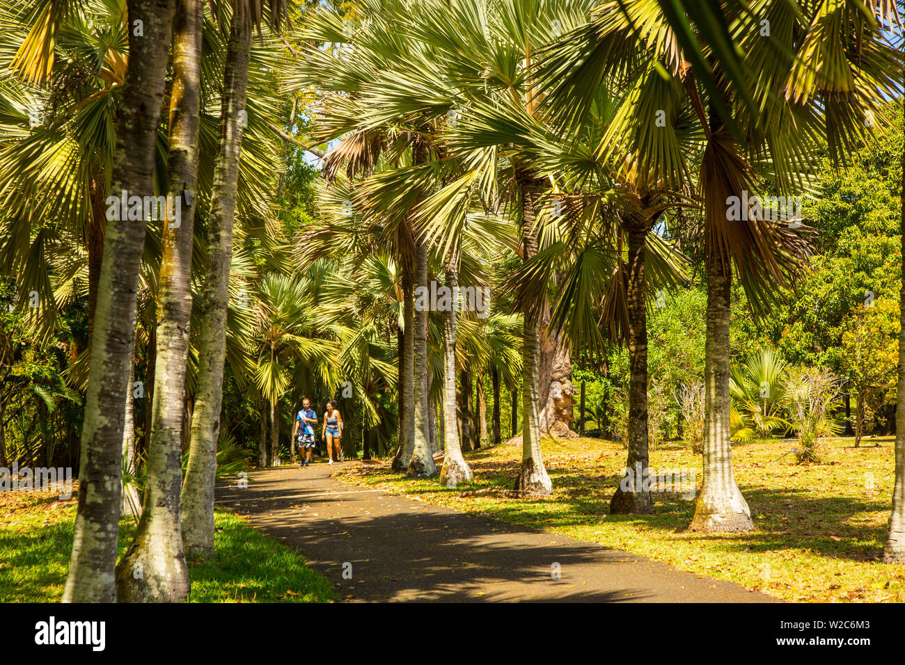 Sir Seewoosagur Ramgoolam Giardino botanico di Pamplemousses, Mauritius Foto Stock