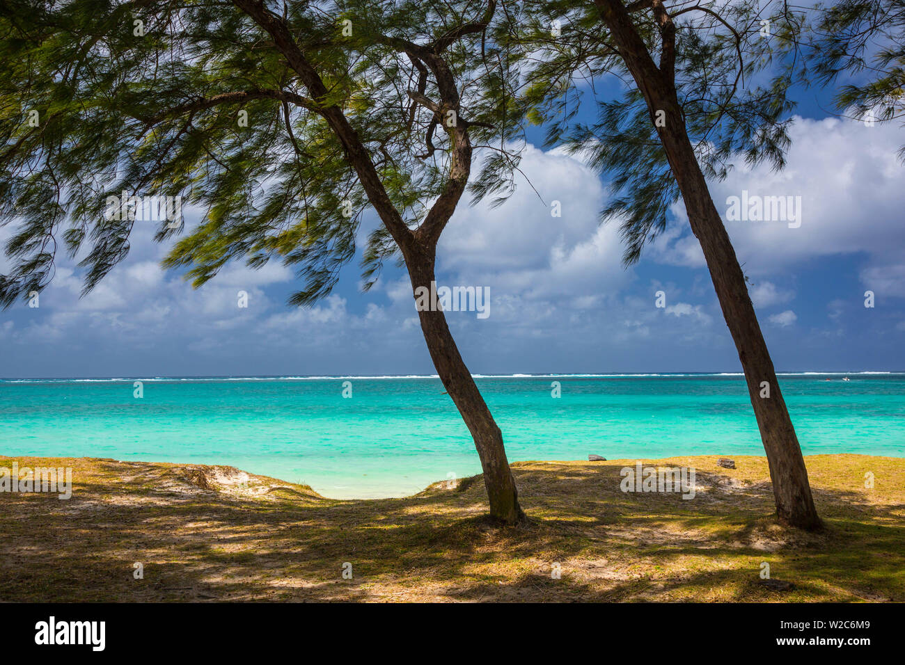 Spiaggia e alberi di casuarina, Flacq distretto, East Coast, Mauritius Foto Stock