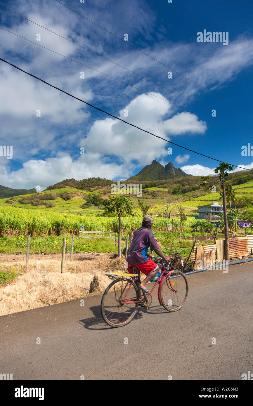 Uomo in bicicletta lungo una strada, Grand Port District, East Coast, Mauritius Foto Stock