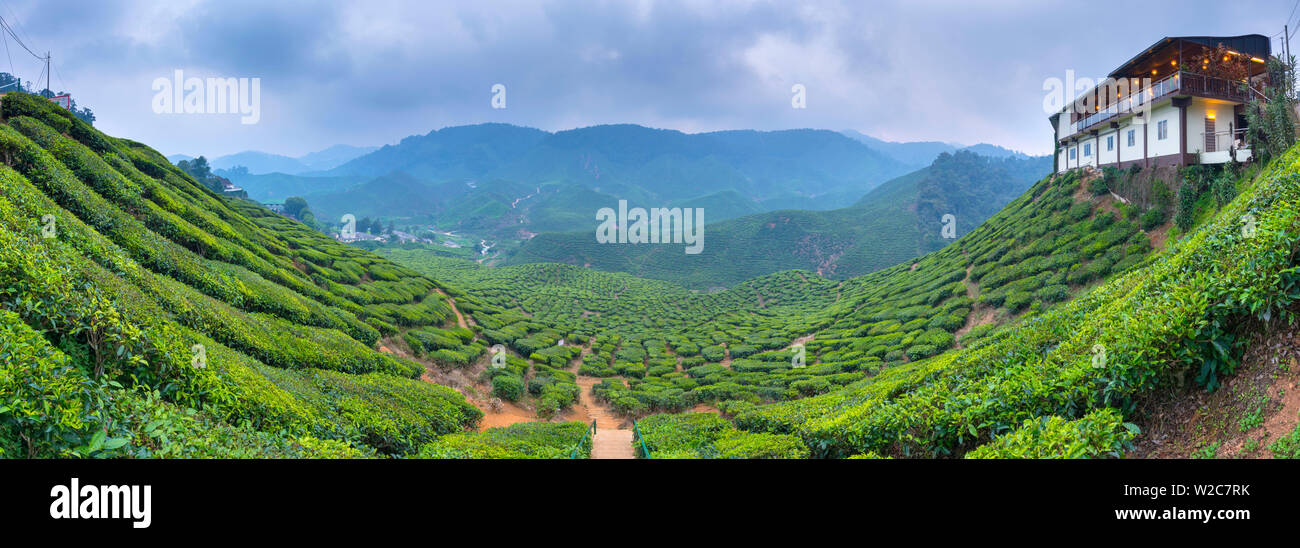 Malaysia, Pahang, Cameron Highlands, Tanah Rata, Cameron Valley Tea Break, Cafe Ristorante Foto Stock