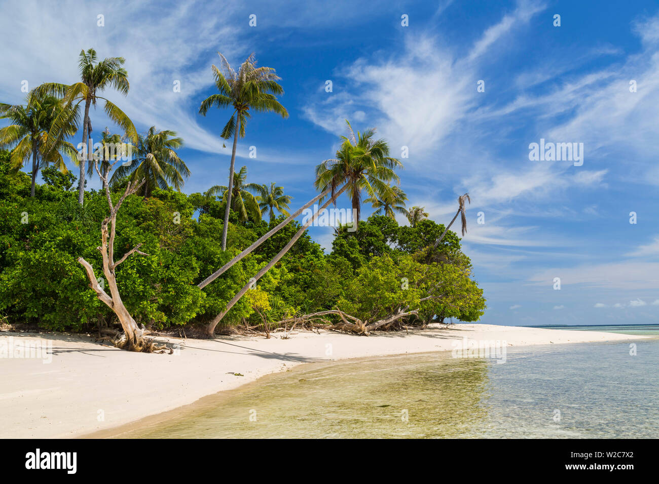 Spiaggia tropicale idilliaco, nr Semporna, Sabah Borneo, Malaysia Foto Stock