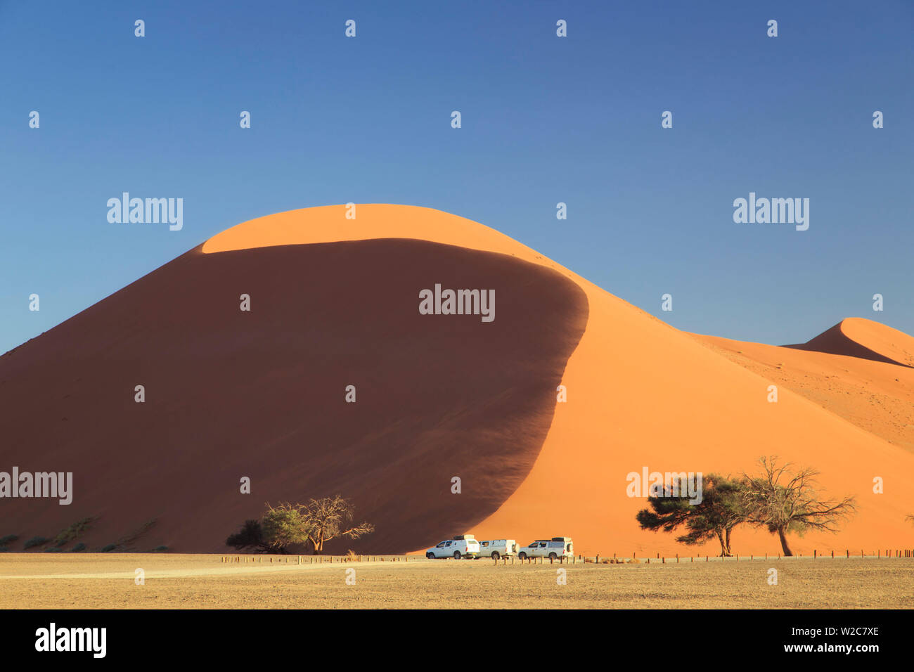 La Namibia, Namib Naukluft National Park, Sossussvlei dune di sabbia, dune 45 Foto Stock