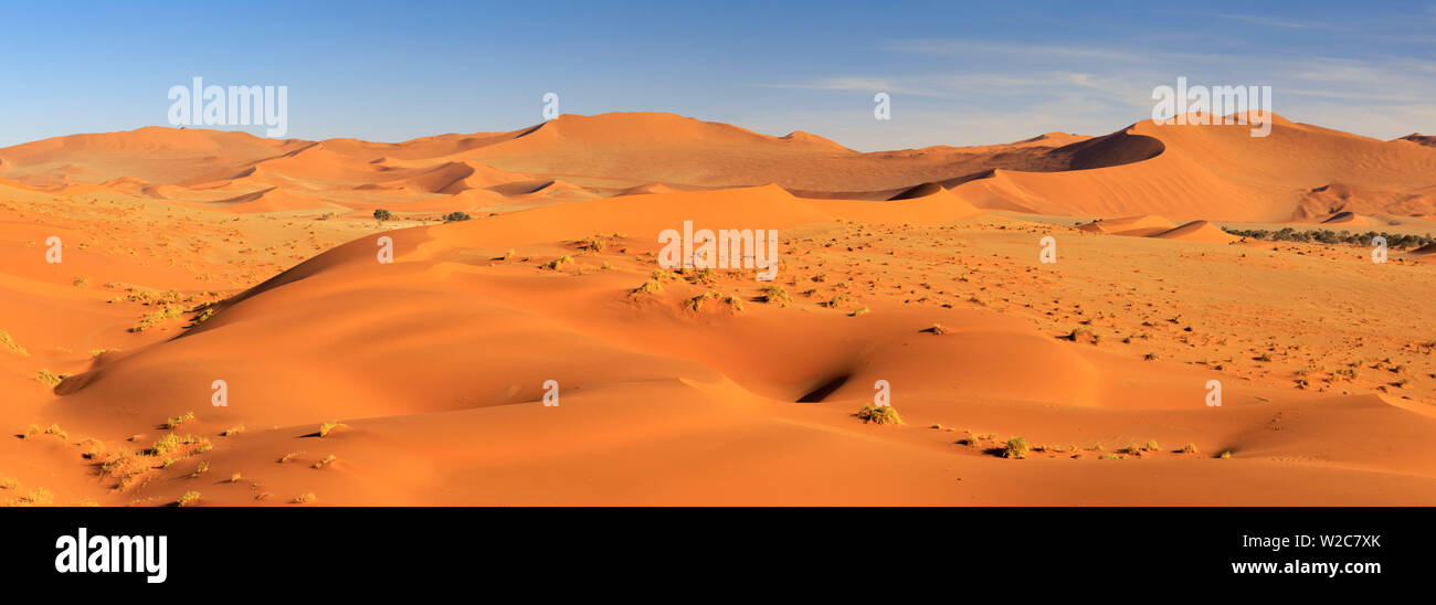 La Namibia, Namib Naukluft National Park, Sossussvlei dune di sabbia Foto Stock