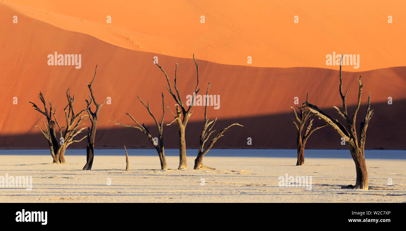 La Namibia, Namib Naukluft National Park, Sossussvlei, Deadvlei pentola di creta Foto Stock