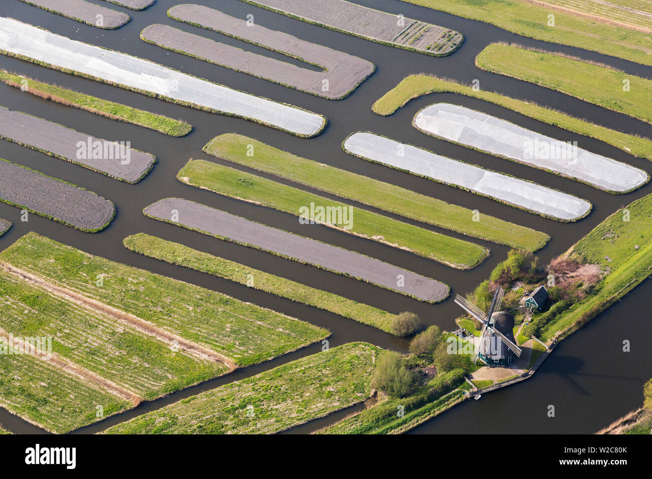 Mulino a vento & Polder o ri-rivendicato terre, North Holland, Paesi Bassi Foto Stock