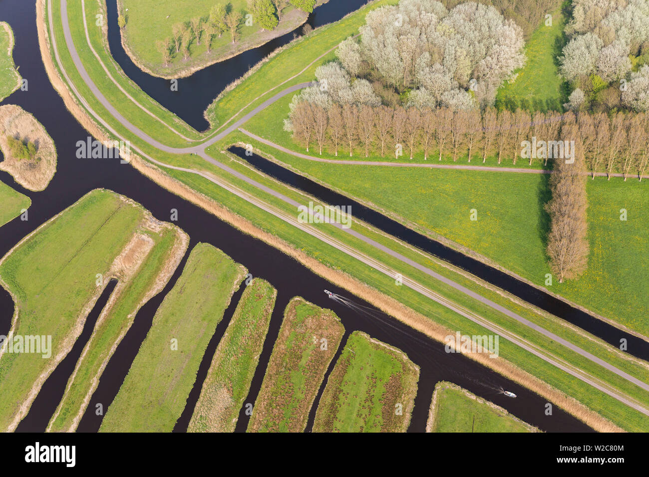 Polder o ri-rivendicato terre, North Holland, Paesi Bassi Foto Stock