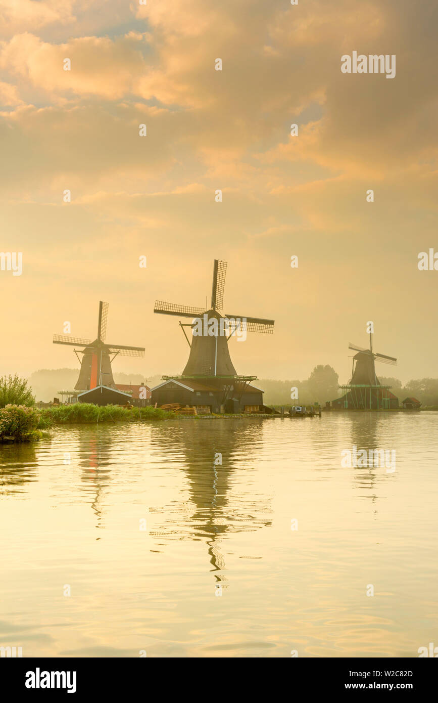 Paesi Bassi, North Holland, Zaandam, Zaanse Schans, a sinistra e a destra il cercatore (De) Zoeker Oilmill, i giovani ovini (Het Jonge Schaap) segheria e il gatto (De Kat) Dyemill Foto Stock