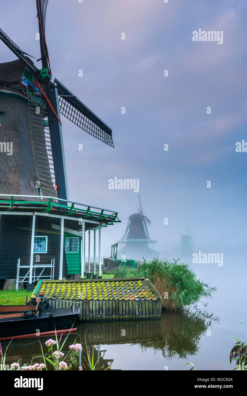 Paesi Bassi, North Holland, Zaandam, Zaanse Schans, 'Il cercatore' (De) Zoeker Oilmill (sinistra) con il Gatto (De Kat) Dyemill e incoronato Poelenburg (De Gekroonde Poelenburg) al di là di segheria Foto Stock