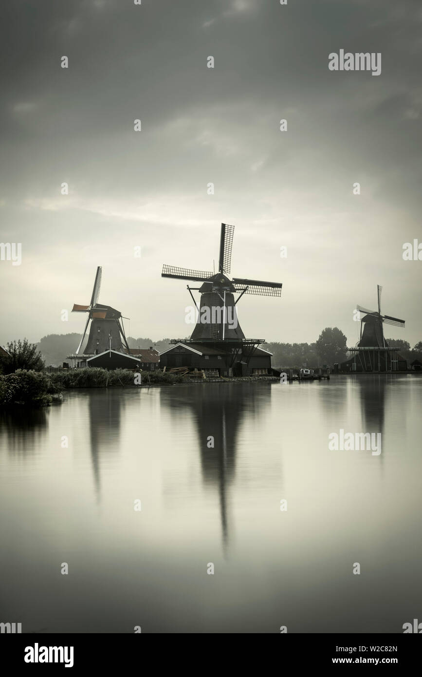 Paesi Bassi, North Holland, Zaandam, Zaanse Schans, a sinistra e a destra il cercatore (De) Zoeker Oilmill, i giovani ovini (Het Jonge Schaap) segheria e il gatto (De Kat) Dyemill Foto Stock