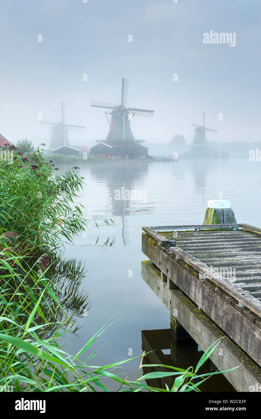 Paesi Bassi, North Holland, Zaandam, Zaanse Schans, a sinistra e a destra il cercatore (De) Zoeker Oilmill, i giovani ovini (Het Jonge Schaap) segheria e il gatto (De Kat) Dyemill Foto Stock