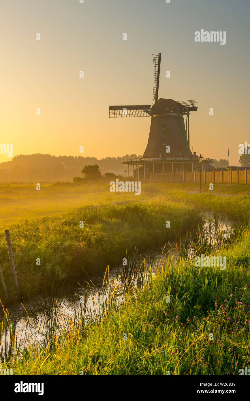 Paesi Bassi, North Holland, Zaandam, Zaanse Schans, il cercatore (De) Zoeker Oilmill presso sunrise Foto Stock