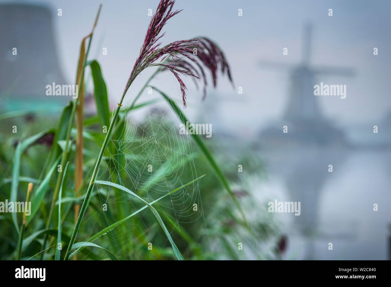 Paesi Bassi, North Holland, Zaandam, Zaanse Schans, mulini a vento Foto Stock