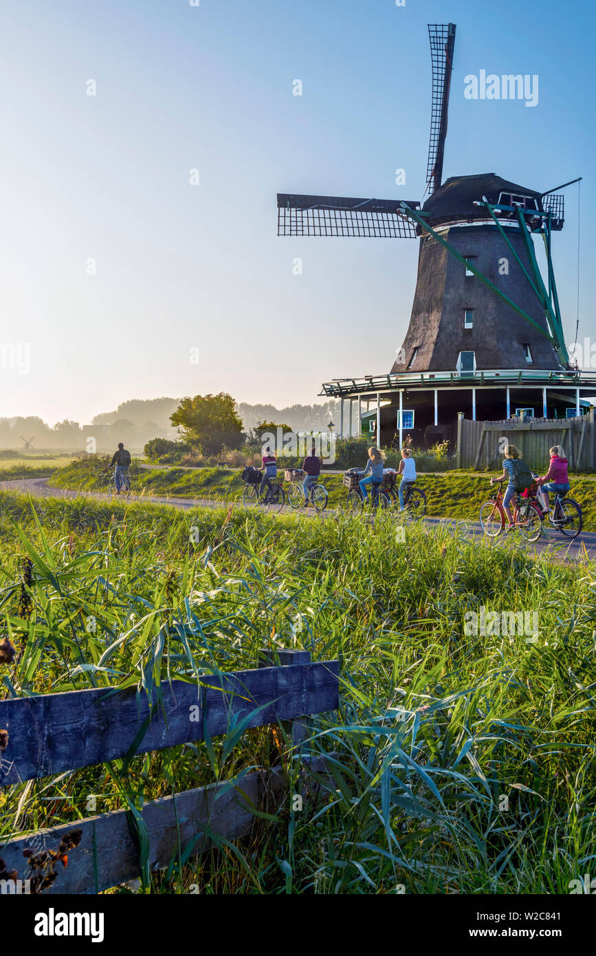 Paesi Bassi, North Holland, Zaandam, Zaanse Schans, il cercatore (De) Zoeker Oilmill Foto Stock