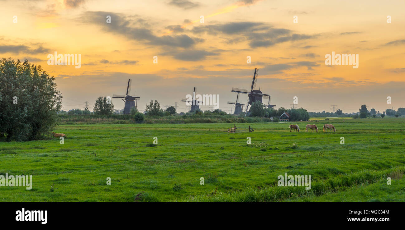 Paesi Bassi, South Holland, Kinderdijk (Patrimonio Mondiale dell'UNESCO) Foto Stock