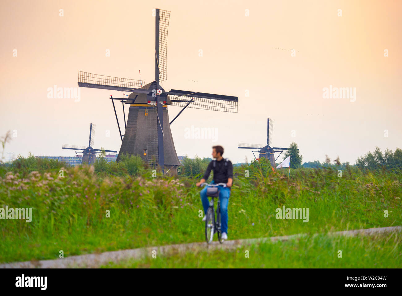 Paesi Bassi, South Holland, Kinderdijk (Patrimonio Mondiale dell'UNESCO) Foto Stock