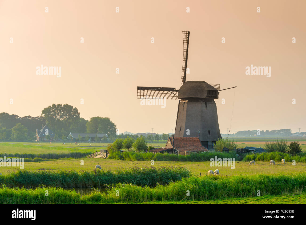 Paesi Bassi, North Holland, Schermer complesso di Mulino a vento Foto Stock