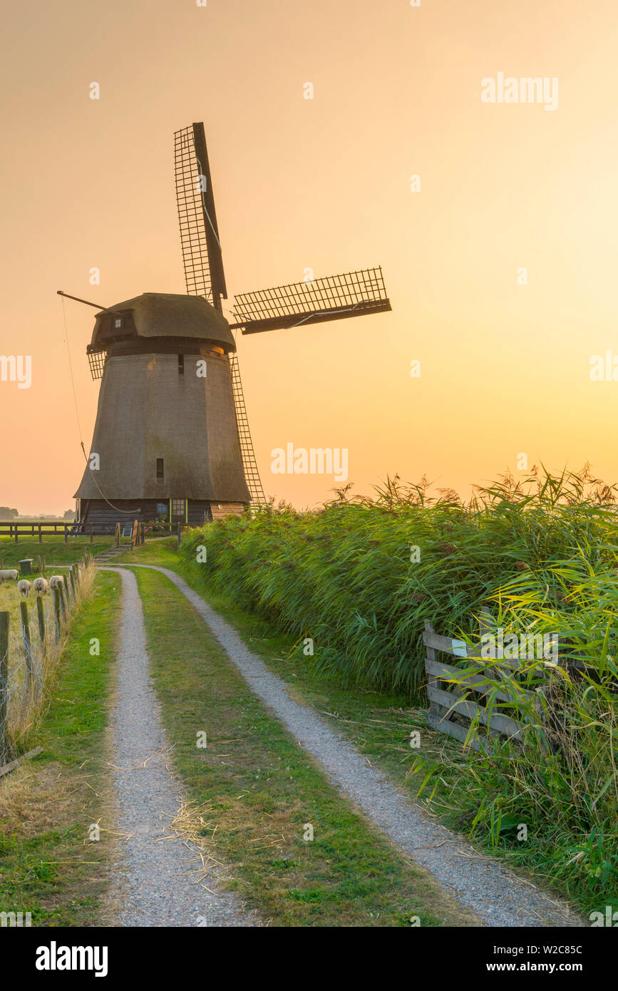Paesi Bassi, North Holland, Schermer complesso di Mulino a vento Foto Stock