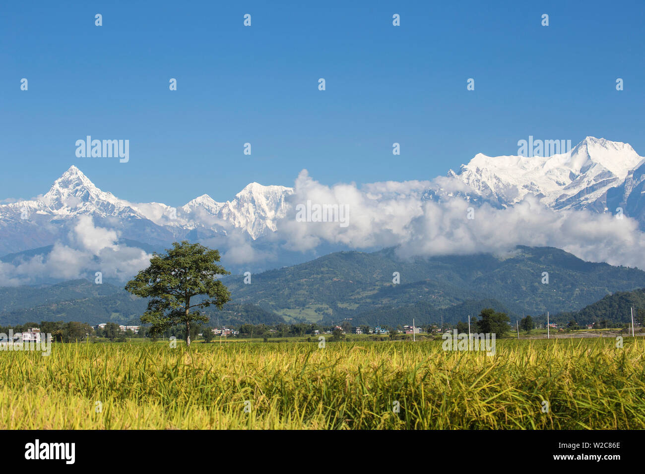 Il Nepal, Pokara, vista dell Himalaya Foto Stock