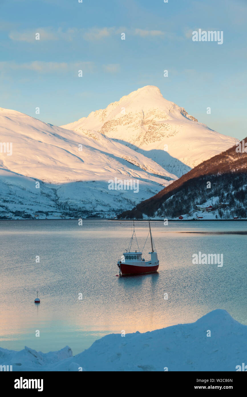 Barca da pesca nel fiordo, Kvaloya, regione di Troms, Norvegia Foto Stock