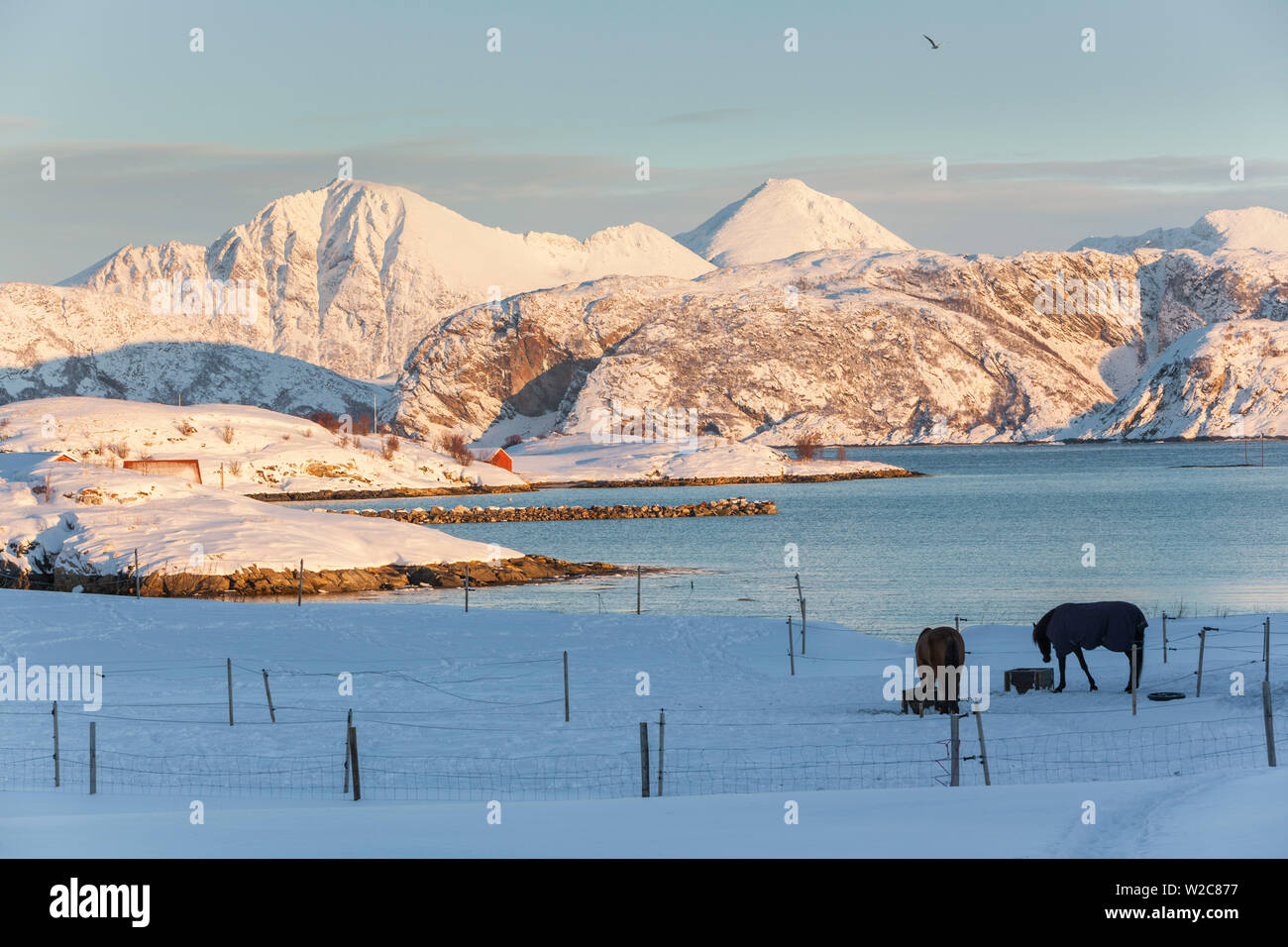 Sommaroy, regione di Troms, regione artica, Norvegia Foto Stock