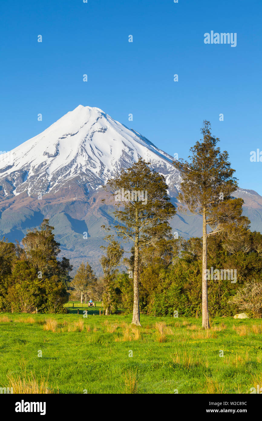 Mount Taranaki (Egmont), Taranaki, Isola del nord, Nuova Zelanda Foto Stock