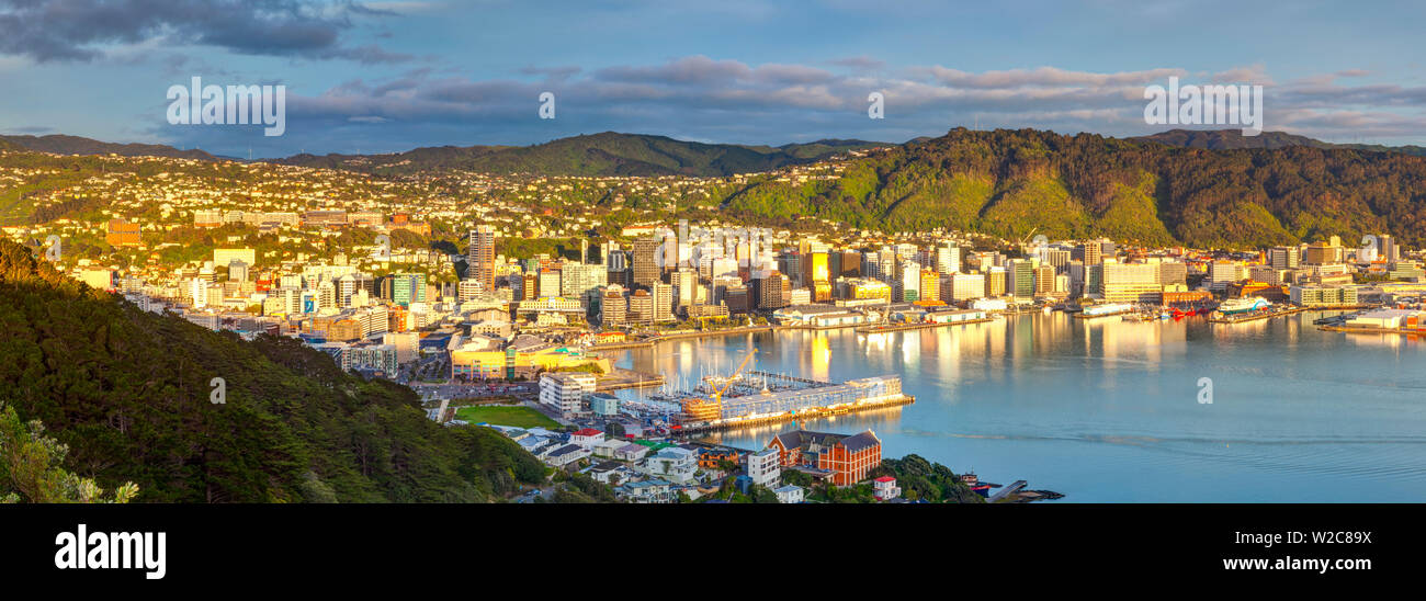 Vista in elevazione su Wellington centrale illuminata di sunrise, Wellington, Isola del nord, Nuova Zelanda Foto Stock